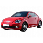 Beetle 2011-